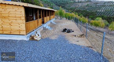 Mükemmel Bir Yaşam Arayanlara