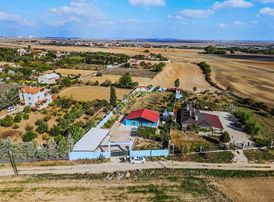 "denge Emlak" Şahbazın En Gözde Yeri