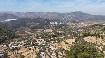 Bodrum Ören'de 12.642 M2 Satılık Zeytinli Tarla