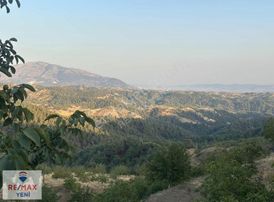 Yenidemir'de Kadastro Yolu Olan Satılık Ceviz Bahçesi