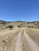 Balıkesir Kepsut Armutluda Satılık 4.5 Dönüm Tarla