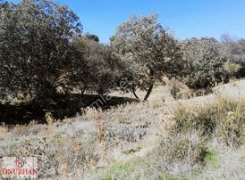 Tavas Vakıf'ta Bu Fiyata Parsel Yok