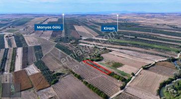 İsmetpaşa'da Satılık 2.750 Metrekare Zeytinlik '' Tek Tapu ''