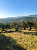 Sahibinden Sahibinden 2080 M2 Hobi Bahcesi Zeytinlik