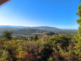 Sahibinden Sahibinden 2080 M2 Hobi Bahcesi Zeytinlik