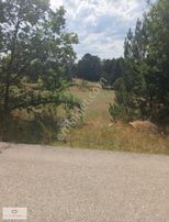 Satılık Tarla Merkez Üyücek