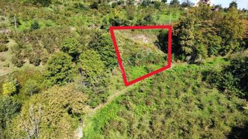 Trabzon Yalıncak'ta Satılık Arsa