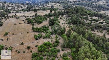 1000 M2 0.5 Emsal Villa İmarlı Arsa Yatırım Fırsatı