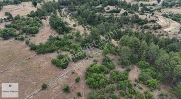 1000 M2 0.5 Emsal Villa İmarlı Arsa Yatırım Fırsatı