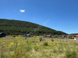 Çamlıdere Yaylasında Gölet Manzaralı Tek Tapu Villa Parseli