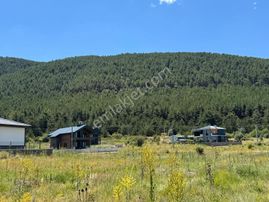 Çamlıdere Yaylasında Gölet Manzaralı Tek Tapu Villa Parseli