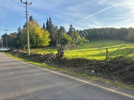 Söğütlü 3.o.s.b Girişinde Asfalt Yola Cephe 3.333 M2 Ticari Arsa