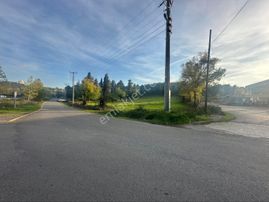 Söğütlü 3.o.s.b Girişinde Asfalt Yola Cephe 3.333 M2 Ticari Arsa