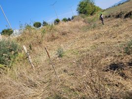 Böyle Fırsat Her Zaman Bulunmaz Yatırılık