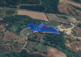 Balıkesir Bandırma Çakıl Mah. 2.587 M2 Satılık Tarla Yatırımlık