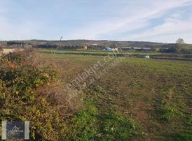 Karacabey Canbaz'da Köyiçi İmarlı Satılık Arsalar