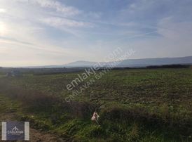 Karacabey Canbaz'da Köyiçi İmarlı Satılık Arsalar
