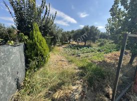 Dostlardan Satılık Efendide Hobi Bahçesi