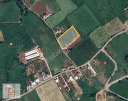 Truvadan Atakum Kurugökçe'de Satılık 4bin M² Tarla