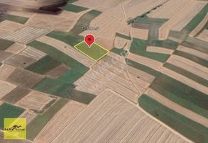 Gönen-paşaçiftlik'te 13.100 M²'lik Satılık Tarla S2885