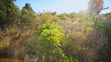 Kırklareli Yörükbayır Köyü Çiftlik Yapımına Uygun Arazi