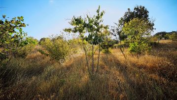 Kırklareli Yörükbayır Köyü Çiftlik Yapımına Uygun Arazi