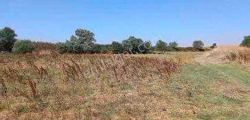 Kaçmaz Emlak'tan K.eli Çiftlikköy'de 2.000 M2 Yatırımlık Tarla