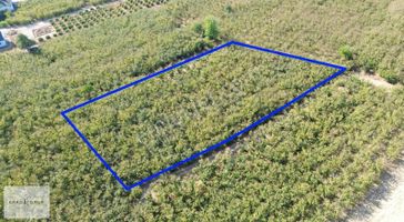 Erko Grup Gayrimenkul'den Hendek Hallaç Mah. Satılık Fındıklık