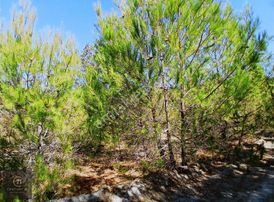 C21 Loca'dan Savaştepe Yukarıdanişmentte 5160,88m2 Satılık Tarla