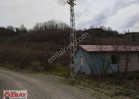Kayadibi Mah.de Satılık 30 Dönüm 3 Parsel Fındık Bahçesi