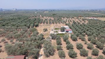 Efendi Karayer Mevkii Site Konseptinde 262 M2 Hobi Bahçesi
