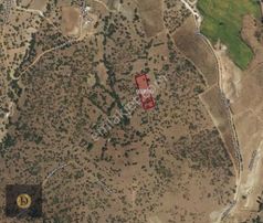 Dora Gayrimenkul'den Değirmenli'de Yatırımlık Tarla Elma Bahçesi