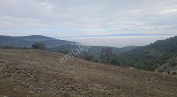 Burdur Merkez Cimbilli Mevkisinde Satılık Arazi