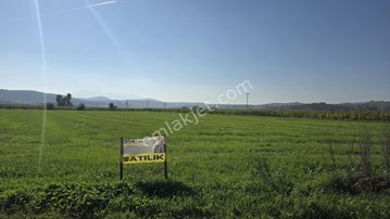 İzmir Tire Sb Emlak Ofisinden Yenioba Mahallesinde Yatırımlık Fırsat Tarla