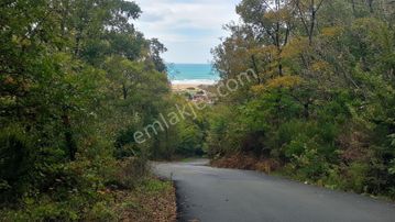 Şile Kurfallı'da 1.307 M² Yatırımlık Arsa