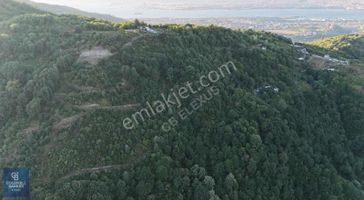 Cb Elexus | Sivritepe'de 14.360m2 %5 İmarlı Tarla