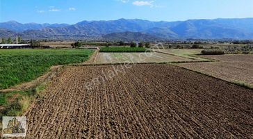 İzmir Tire Sb Emlak Ofisinden Peşrefli Mah. Yatırımlık Fırsat Tarla