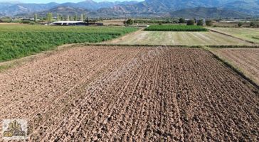 İzmir Tire Sb Emlak Ofisinden Peşrefli Mah. Yatırımlık Fırsat Tarla