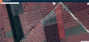 emlakjet-image-not-found