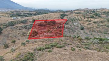 Datça Reşadiye Mahallesinde 2.958m² Tarla