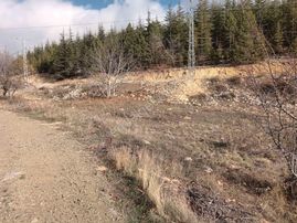 Mersin Erdemli Sorgun Hacalanı Bölgesinde 1060 M.kare Satılık Arsa