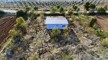 Kula'da Badem Bahçesi