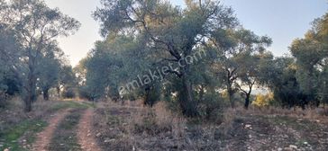 emlakjet-image-not-found