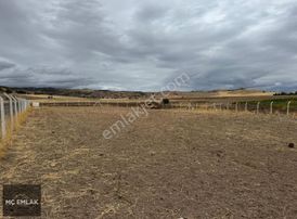 Mç Emlak'tan Yassıören Mh 2.296 M2 Tarla