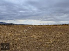 Mç Emlak'tan Yassıören Mh 2.296 M2 Tarla