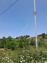 Sahibinden Satılık Hisseli A