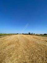 Tekirdağ Saray Kurtdere Mahallesinde 560 M2 Sahibinden Hisseli Tarla