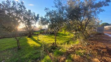 emlakjet-image-not-found