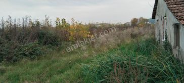 Sahibinden Çarşamba Costal Satılık Tarla