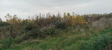 Sahibinden Çarşamba Costal Satılık Tarla